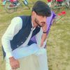 adeel.ansari.doni