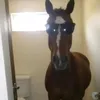 gbnhjjgcbb