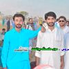 malik_shayan379