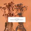 anzal_08