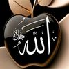 user1940792301254