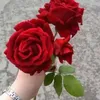jnataljbwre