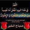 mostafa.el.toney