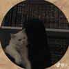 fafe_748