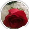 ree_mm89