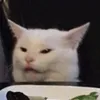 ilgatito0