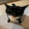 valentino_0livera