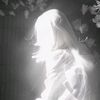 dlyn_n1