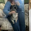 ameliajdifndidn