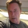 ceoelonxmusk43