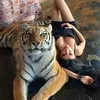 vianazr8