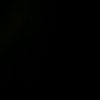 jungleboys58