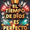47795133431888david