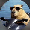 nqc.capy