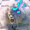 mohamadreza8138