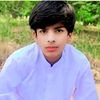 abid.ali.phanwar