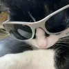 qnpsgn_
