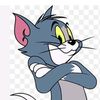 user81060699655412727