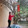 xuannguyen83419