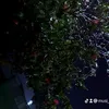 musi_647