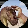 11kowalo11