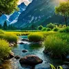 ng.anh6864