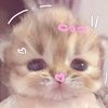 riska.aisyah.gwsm