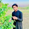 bilal.malik304