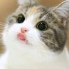 mikaila_7645