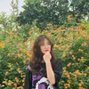 thy.trang622