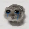 ngyenduyyu