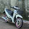 mas.dp7