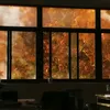 tea00643