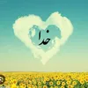 lailalawpti