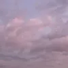 101009ttyn