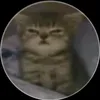 vietductran4