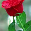 temsgen.amlake7