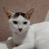 krizzahm0