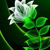 user9386801179161