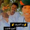 user6160390061828
