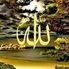 ayubkilb