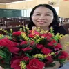 liu.anh0