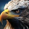 rafaelrodrigues0482