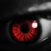 theofficialmarr00