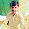 molchandpardai
