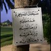 harbe11_1