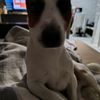 mase53476_