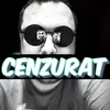 pleavasocietati