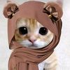 pretty_kittey
