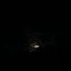 _suaramalam8